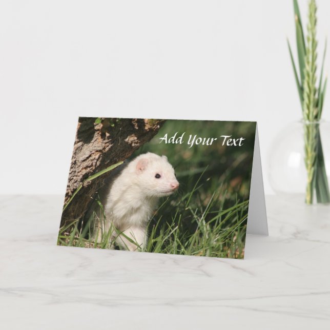 Fur Babies. White Ferrets Holiday Card (Front)