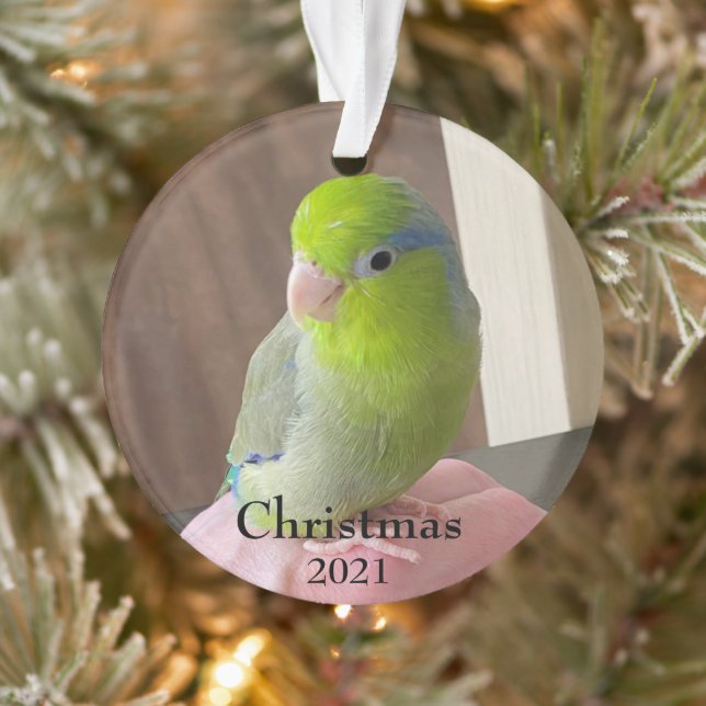 Fur Baby Acrylic Christmas Ornament (Tree)