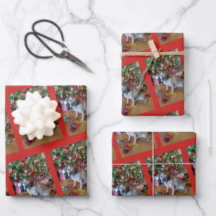 Fur Baby Christmas Wrapping Paper 