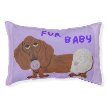 Fur Baby Dachshund Puppy