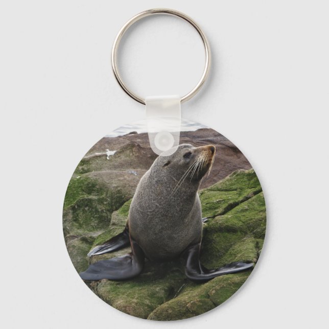 Fur Seal Keychain (Front)