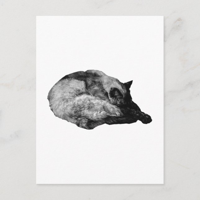 fur-trace calm postcard (Front)