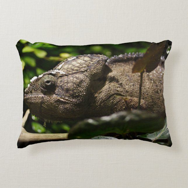 Furcifer oustaleti accent pillow (Front)