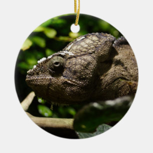Furcifer oustaleti ceramic ornament