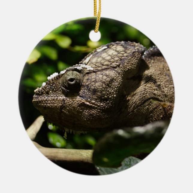 Furcifer oustaleti ceramic ornament (Front)