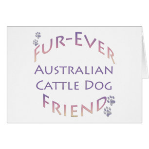Furever de chien de bétail australien