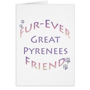 Furever des Pyrénées