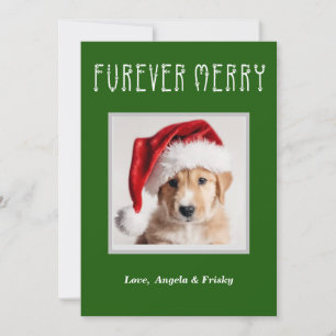 Furever Merry Personalized Christmas Card