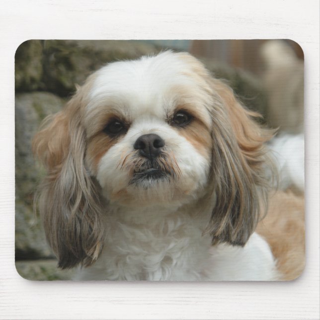 Furface Mouse Pad (Front)