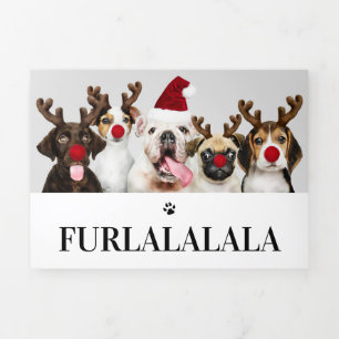 Furlalala Dog Themed Photo Personalized Christmas Tri-Fold Holiday Card