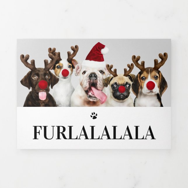 Furlalala Dog Themed Photo Personalized Christmas Tri-Fold Holiday Card (Cover)