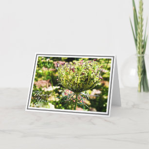 Furled Queen Anne’s Lace Flower With Green Folia Card