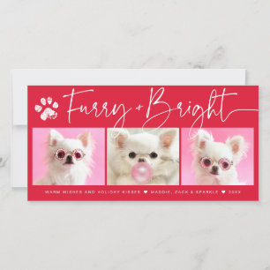 Furry and Bright   3 Photo Pet Collage Holiday Card