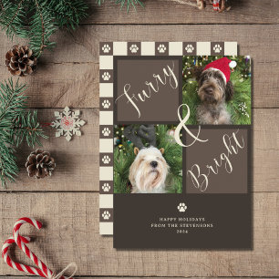 Furry And Bright Brown 2 Photo Dog  Holiday Card