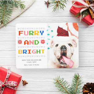 Furry and Bright   Christmas Holiday Pet Dog Photo Card