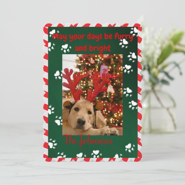 Furry and Bright Dog Photo Christmas Card (Standing Front)