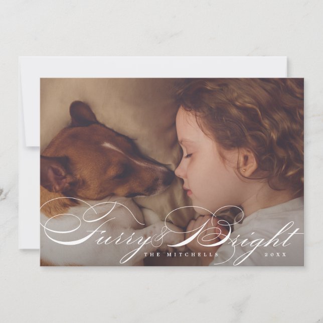 Furry and Bright Elegant Pet Dog Photo Card (Front)