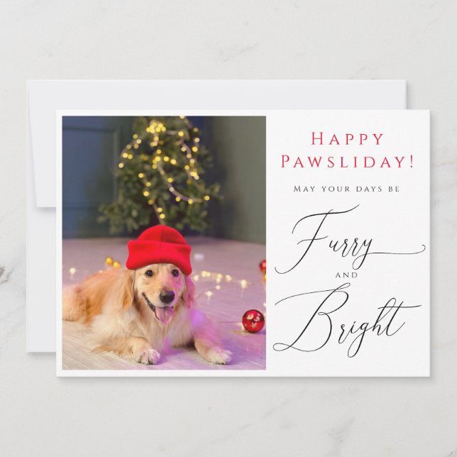Furry and Bright Pet 3 Photo Funny holiday card (Front)
