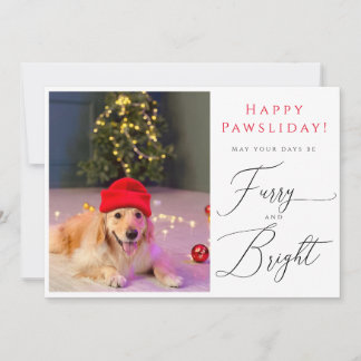 Furry and Bright Pet 3 Photo Funny holiday card