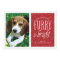 Furry and Bright Pet Photo Card