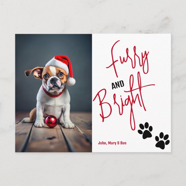 Furry and Bright Pet Photo Christmas Red Holiday Postcard (Front)