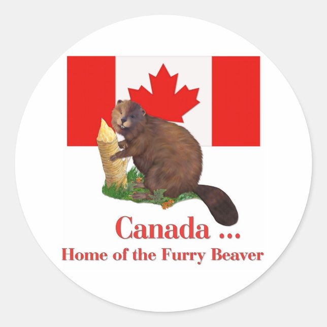 Furry Beaver Classic Round Sticker (Front)