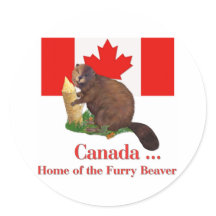 Furry Beaver
