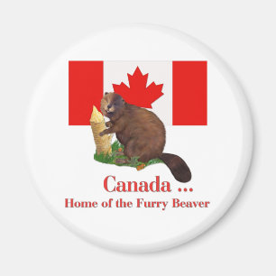 Furry Beaver Magnet