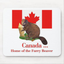 Furry Beaver