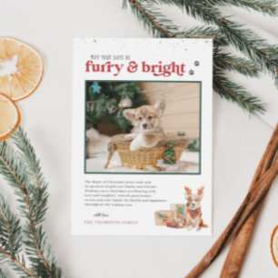 Furry & Bright   Carte de Noël photo pour animaux 