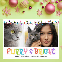 Furry & Bright Cat Photo