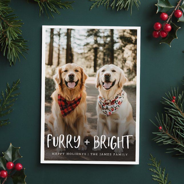 Furry Bright Cute Funny Pet Dog Photo Christmas Holiday Card (Creator Uploaded)