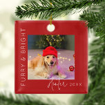 Furry & Bright | Pet Photo Christmas Tree Metal Ornament<br><div class="desc">Include your pets with our 'Furry & Bright' pet Christmas tree ornaments! These fun tree decorations feature an endearing picture of your beloved dog, a template greeting message which reads ' Furry & Bright', and personalized with your pets name and the year. Celebrate the spirit of Christmas and create lasting...</div>