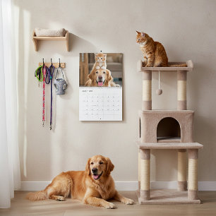 Furry buddies calendar
