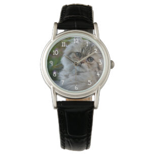 Furry Cat Watch