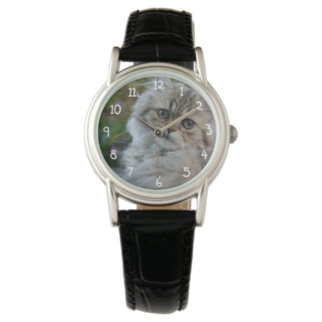 Furry Cat Watch (Front)