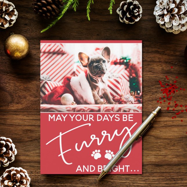 Furry Christmas red with photo and dog paws Postcard (Creator Uploaded)