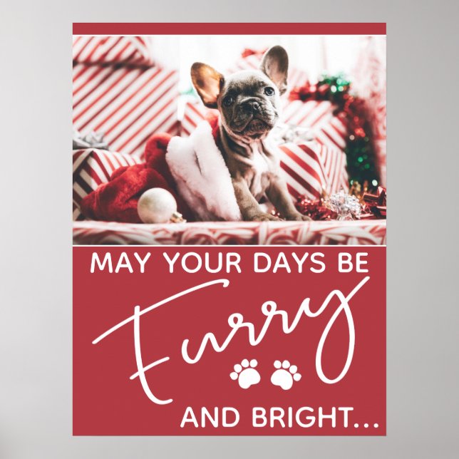 Furry Christmas red with photo and white paws Poster (Front)