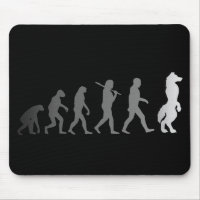 Furry evolution