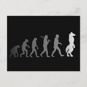 Furry evolution postcard