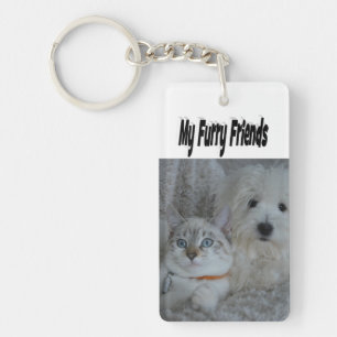 Furry Friends Photo Chat et Chien
