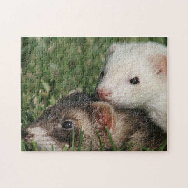 Furry friends. Weasel Friendly Ferrets Jigsaw Puzzle (Horizontal)