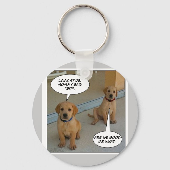 Furry Funnies "LAB PUPS?" Keychain (Front)