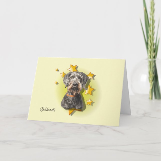 Furry Grey Schnoodle est une carte Star Card (Devant)