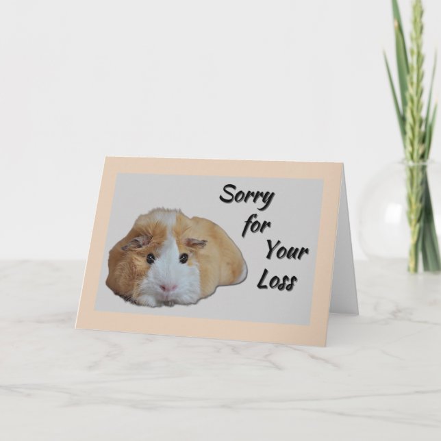 Furry Little Guinea Pig Tan Sorry for Your Loss Card (Front)