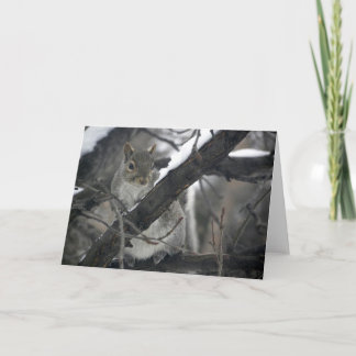 Furry Little Spy Holiday Card