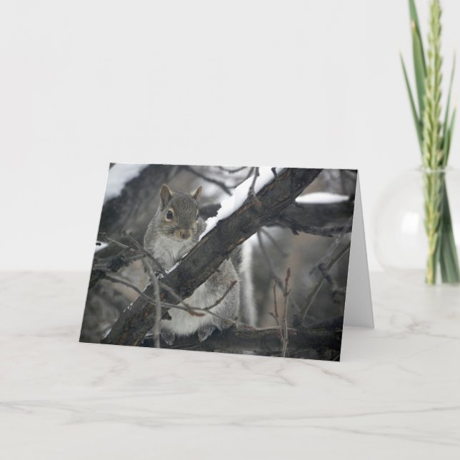 Furry Little Spy Holiday Card (Front)