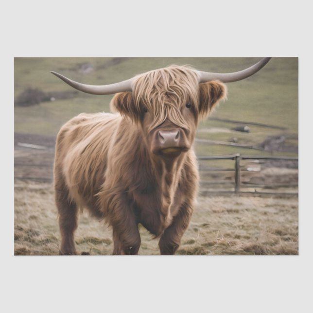 **"Furry Majesty: The Woolly Brown Highland Cow"** Tissue Paper (Front)