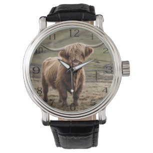 **"Furry Majesty: The Woolly Brown Highland Cow"** Watch