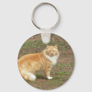 Furry Orange and White Cat Keychain